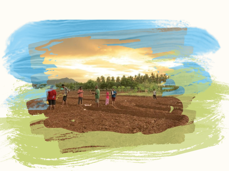 VEFS Trainings - Ecological Education and Skill Development