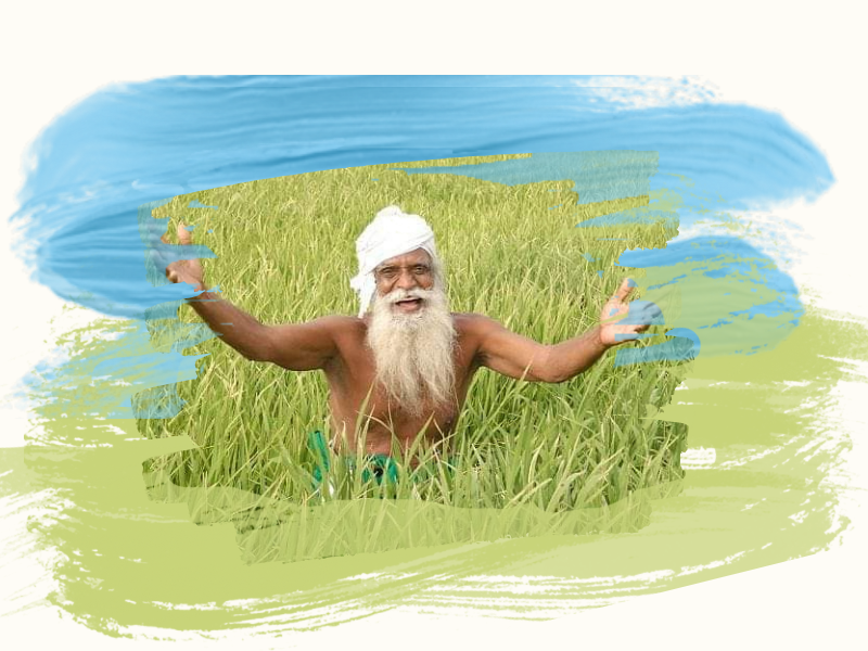 Support VEFS - Help Restore Ecological Balance