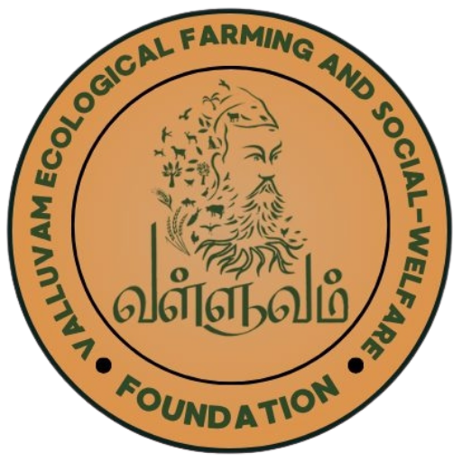 VEFS Foundation Logo