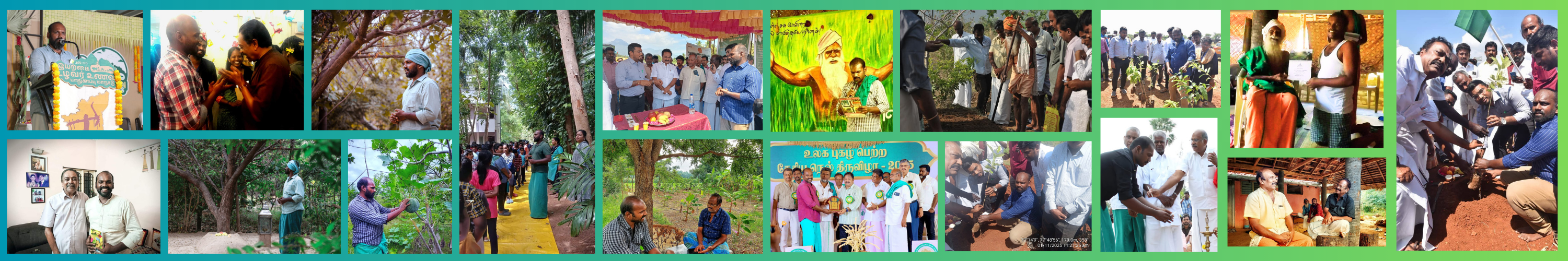 VEFS panoramic collage